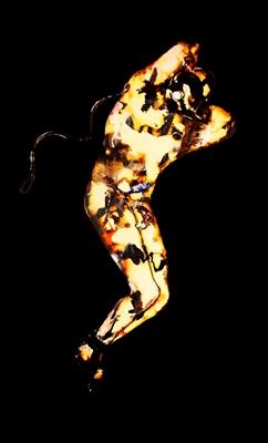 The assumption of Pope Pius IX ii