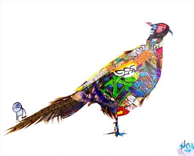 Urban Pheasant