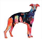 Brody, supersized Whippet by Helen Gorrill, Painting