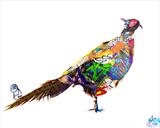 Urban Pheasant by Helen Gorrill, Painting