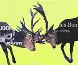 Urban Stags: Mercedes Benz or Nothing by Helen Gorrill, Painting